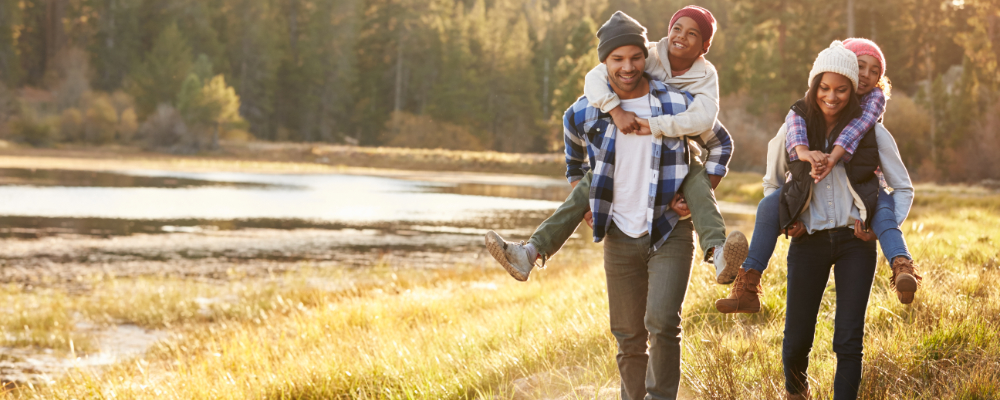 Family income benefit banner