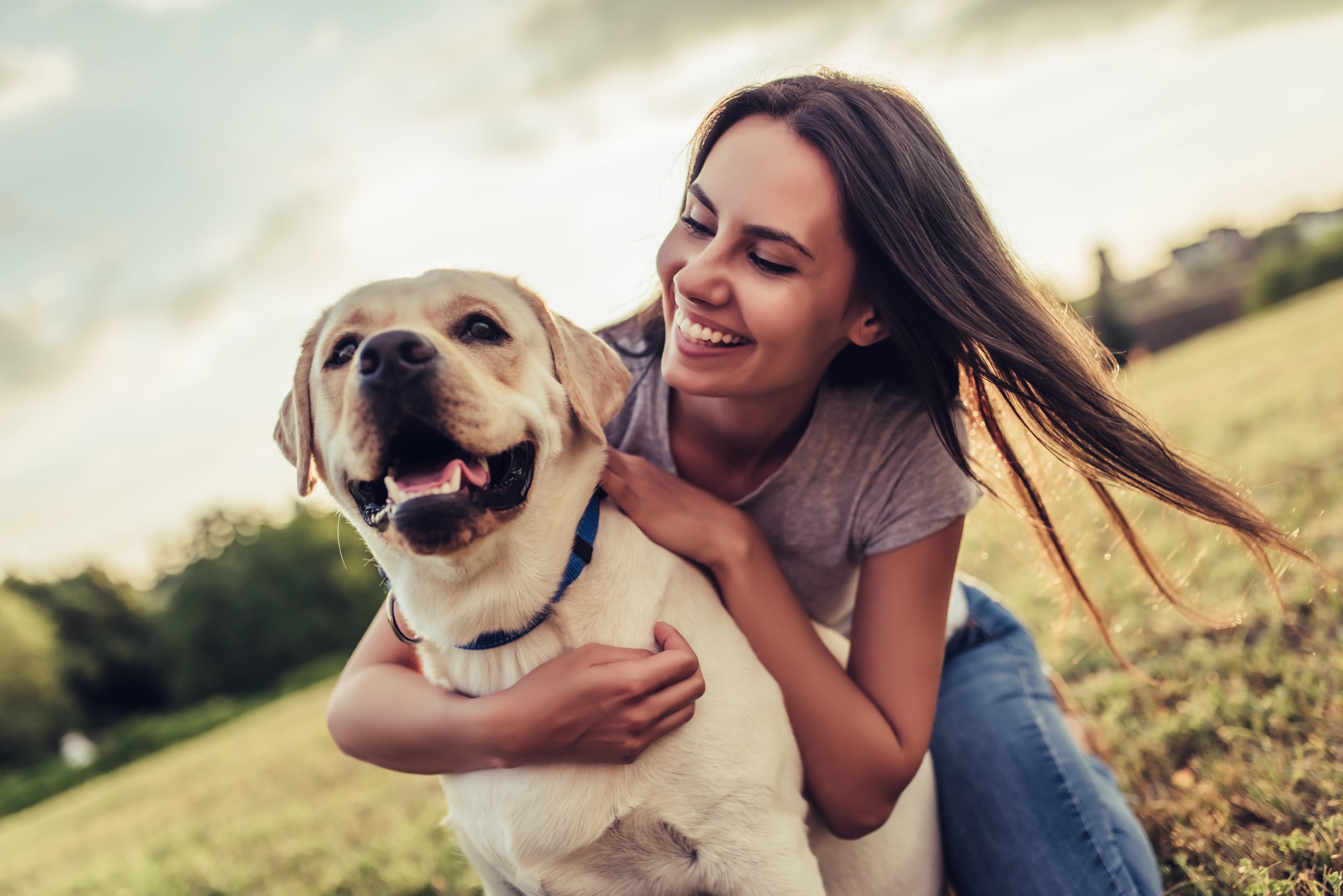 How Do I Choose Pet Insurance Banner