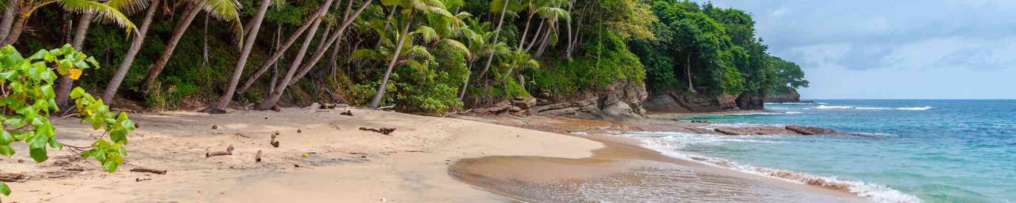 Single trip travel insurance banner