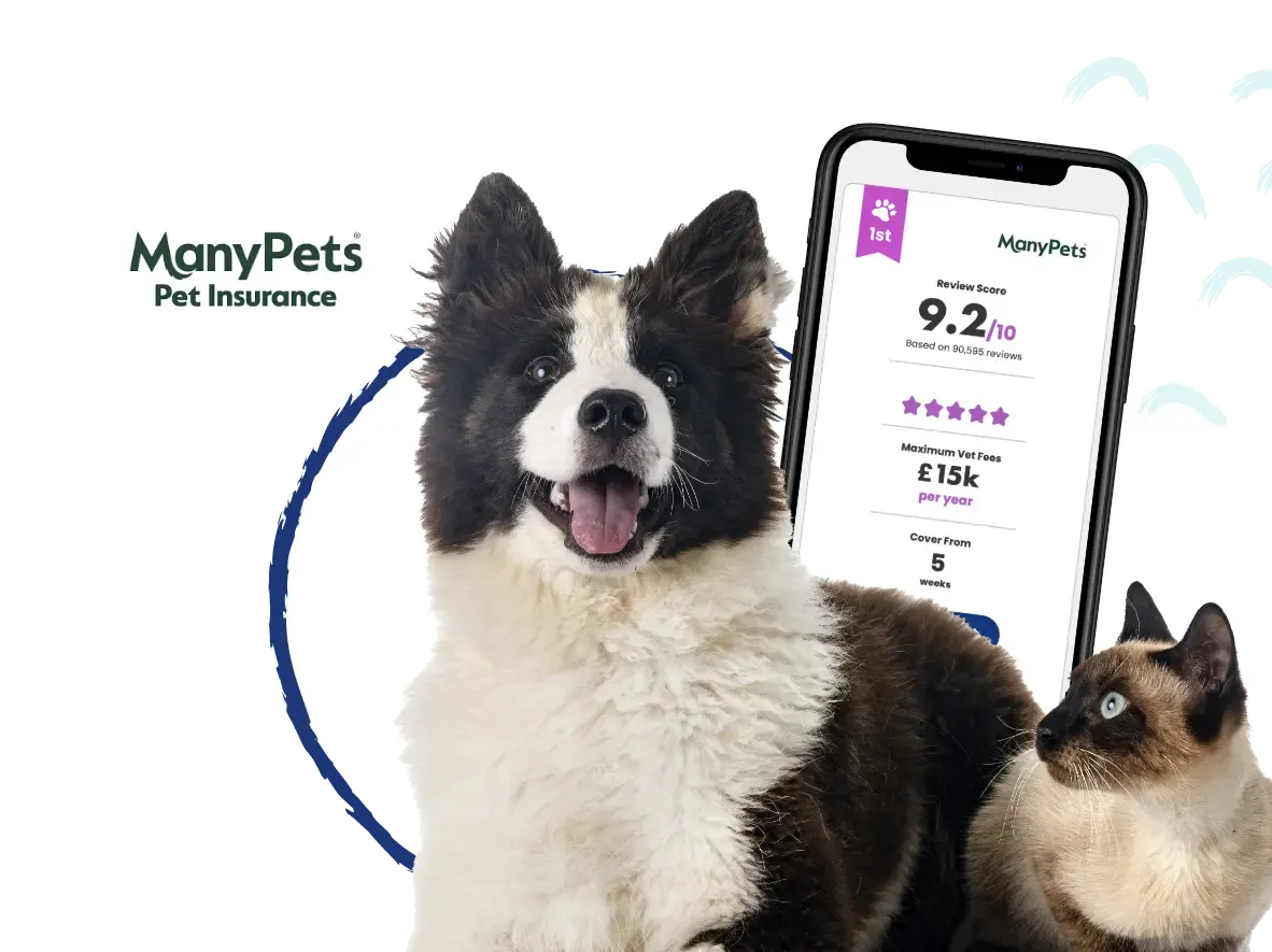 ManyPets Hero Image