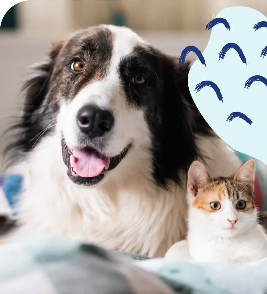 Dog Image