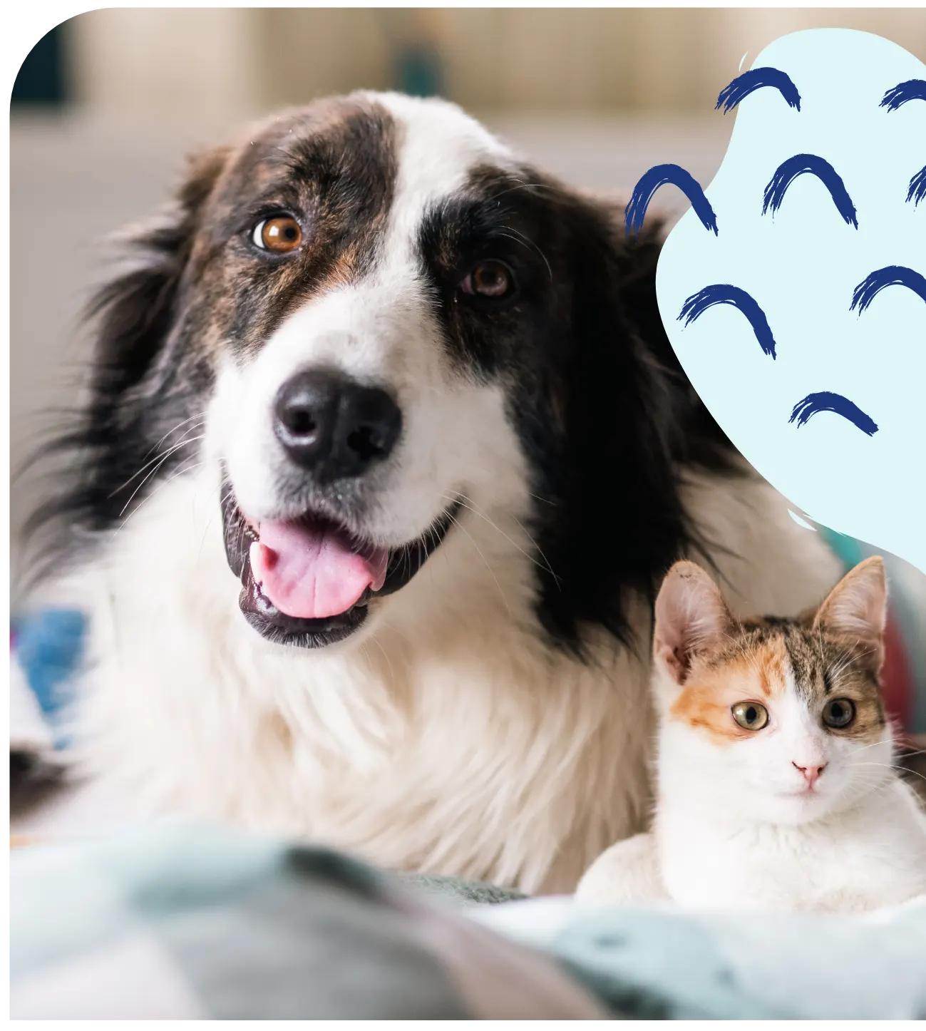 Dog Image
